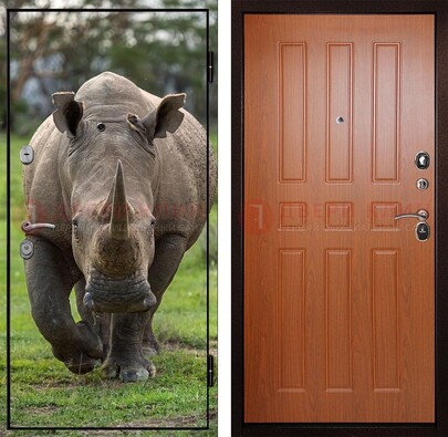 Металлическая дверь с фотопечатью носорога ДФ-31 Кириши