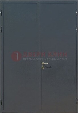 Двухстворчатая техническая дверь ДТ-5 в Апрелевке